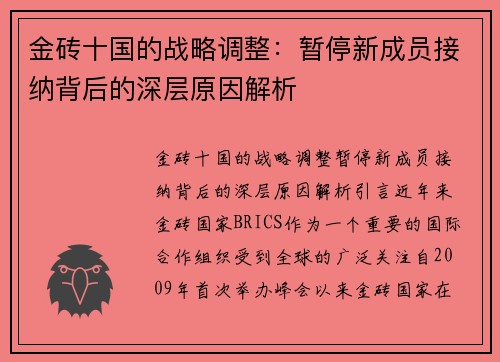 金砖十国的战略调整：暂停新成员接纳背后的深层原因解析