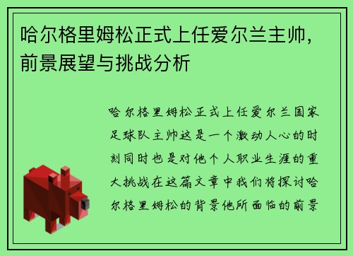 哈尔格里姆松正式上任爱尔兰主帅，前景展望与挑战分析