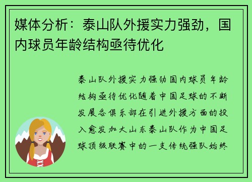 媒体分析：泰山队外援实力强劲，国内球员年龄结构亟待优化