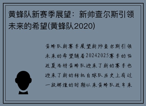 黄蜂队新赛季展望：新帅查尔斯引领未来的希望(黄蜂队2020)